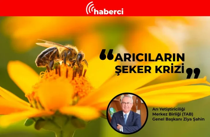 aricilarin şeker kri̇zi̇ 